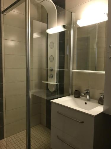 a bathroom with a sink and a shower at Le Villeneuve in Gray