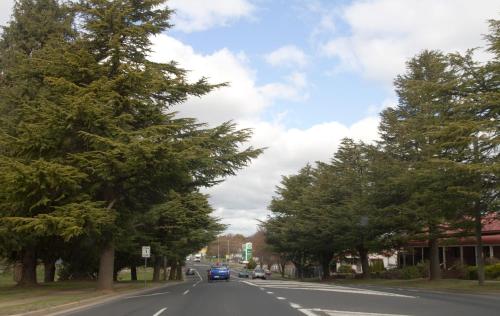 a car driving down a street with trees at The Sampson - Orange in Orange
