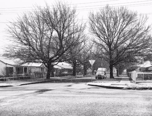 a car parked on the side of a street with trees at The Sampson - Orange in Orange