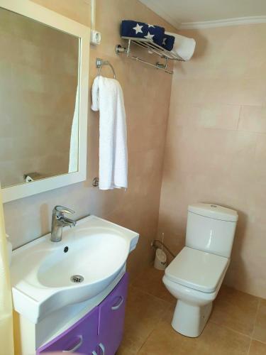 a bathroom with a sink and a toilet and a mirror at House & Yard Sesil XL 90m to beach in Ureki