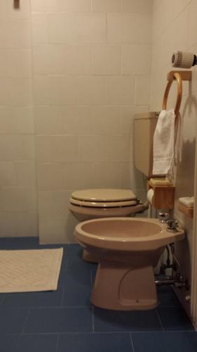 a bathroom with two toilets in a room at Hotel Garni Gonzaga in Canazei