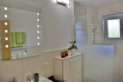 a bathroom with a shower and a sink and a mirror at Ferienwohnung Close in Lindenberg im Allgäu
