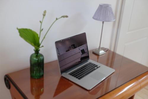 TV a/nebo společenská místnost v ubytování Alte Apotheke - Studio Appartements Karlsbad
