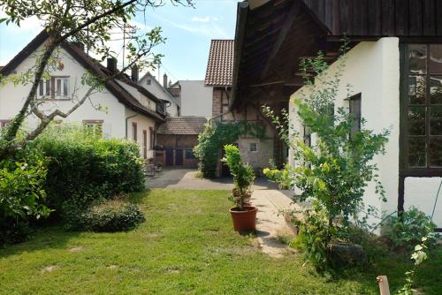 a courtyard of a house with a plant in a pot at Alte Apotheke - Studio Appartements Karlsbad in Karlsbad