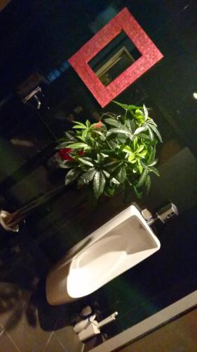 a bathroom sink with a potted plant on a counter at Kakureyado Fujikawaguchiko in Fujikawaguchiko