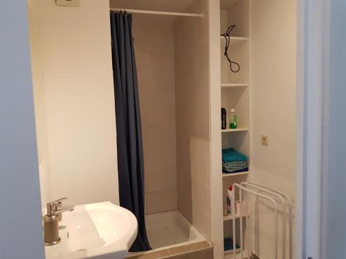 a bathroom with a shower and a sink and a shower at Appartements Bon Secours in Bon-Secours