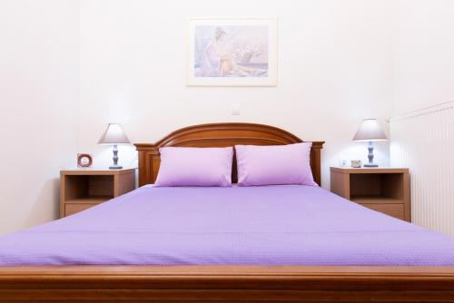 Posteľ alebo postele v izbe v ubytovaní PANOS HOUSE