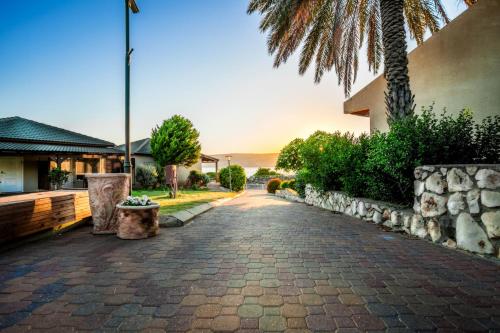 a cobblestone driveway in front of a house with a palm tree at Daria- Authentic Israeli Experience in Samra