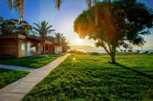 a house on the beach with a tree and a sidewalk at Daria- Authentic Israeli Experience in Samra