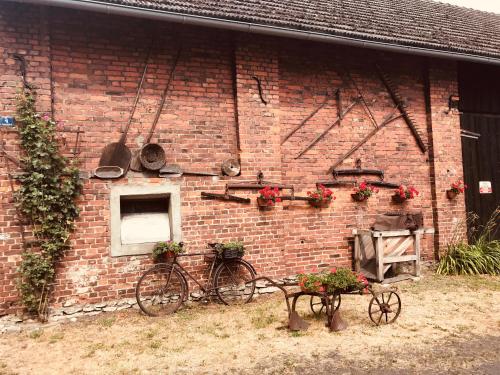 Gallery image of Agroturystyka Nad Stawem in Centawa