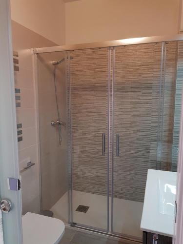 ein Bad mit einer Dusche und einem WC in der Unterkunft Apartamentos Aranda - Ático Duero in Aranda de Duero