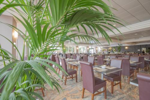 ein Restaurant mit Tischen und Stühlen und einer Pflanze in der Unterkunft Montresor Hotel Tower in Bussolengo