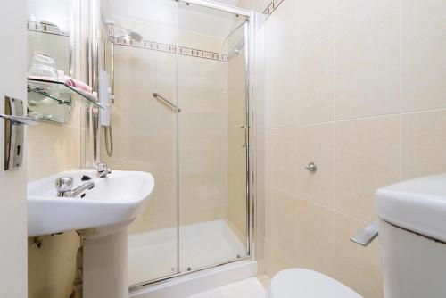 a bathroom with a shower and a sink and a toilet at Henry Court Townhouse in Kenmare