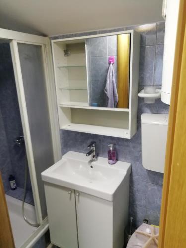 a bathroom with a sink and a shower and a mirror at Kuća za odmor Sparta in Dugo Selo