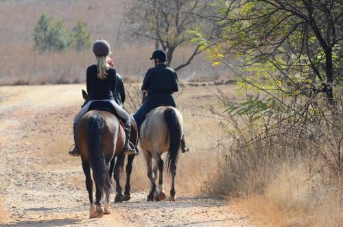 ハートビーズポートにあるDie Plasie Two-Bedroom Flatの未舗装の道を馬に乗る二人