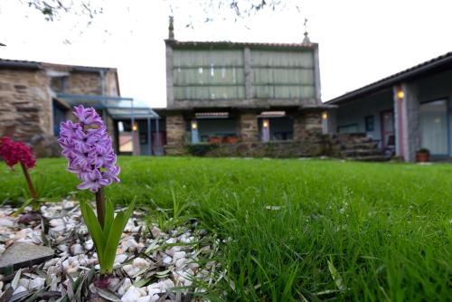 a purple flower in the grass in front of a house at Casa de Amancio in Lavacolla