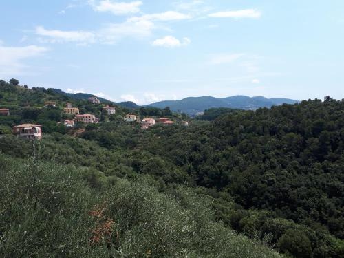 Blick auf einen Hügel mit Häusern und Bäumen in der Unterkunft Casa vacanze P&G. Colline, mare, relax in La Spezia