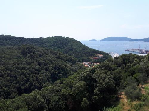 Φυσικό τοπίο κοντά σε αυτό το διαμέρισμα