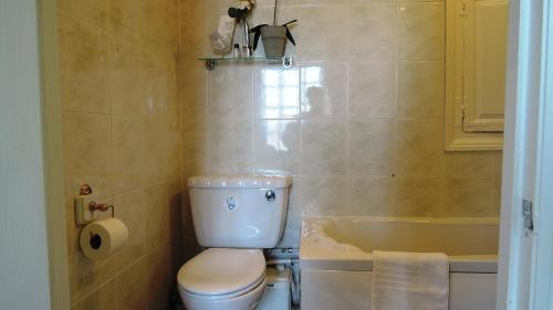 a bathroom with a toilet and a bath tub at The Georgian House in Watchet