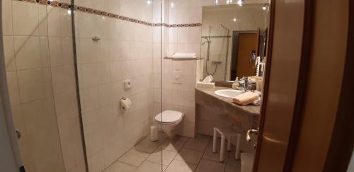 a bathroom with a shower and a toilet and a sink at Gästehaus Höltig in Havekost