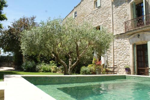 une piscine en face d'une maison avec un arbre dans l'établissement Chambre Foret du Mas des Fontaines, à Montagnac