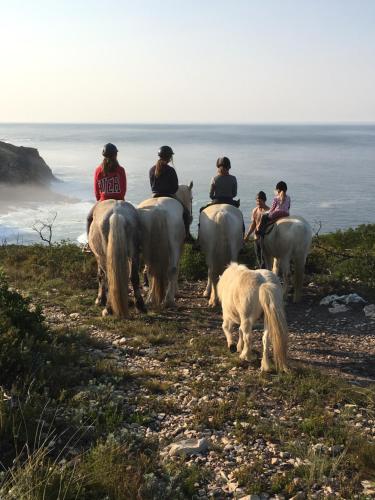 a group of people riding horses on a hill with a dog at TNiqua Stable Inn in Plettenberg Bay