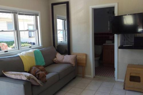 un perro tirado en un sofá en una sala de estar en Wildwoof Beach Bungalow @ NW. 3 Blocks to Beach! en North Wildwood