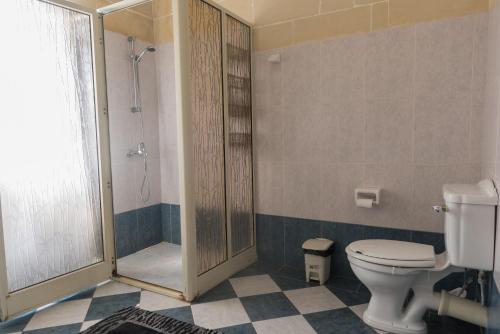a bathroom with a toilet and a shower at Acomodation House Kavarna in Xagħra
