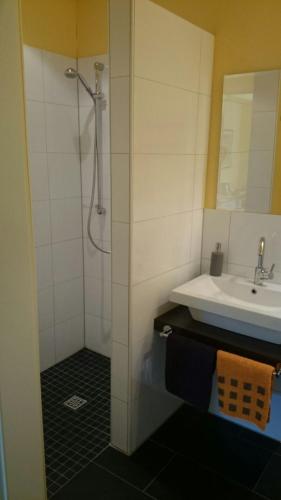 a bathroom with a sink and a mirror at Ferienwohnung Sommerhus in Wiefelstede