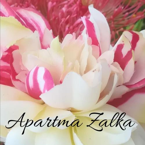 Billede fra billedgalleriet på Apartma Zalka i Izola