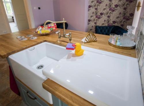 a kitchen sink with a rubber duck toy on it at Rooms in a luxury gorgeous newly refurbished apartment - historic centre in Bratislava