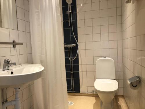 La salle de bains est pourvue de toilettes et d'un lavabo. dans l'établissement Kroppefjäll B&B, à Dals Rostock