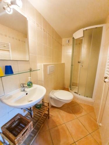 a bathroom with a toilet and a sink and a shower at Chalupa Barborka - Národní park Krkonoše, sauna, bazén, dětské hřiště, gril, 6 pokojů, kuchyň, společenská místnost s krbem in Vrchlabí