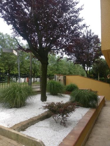 a garden with a tree and some plants at Foresteria Sirio in Gorgonzola