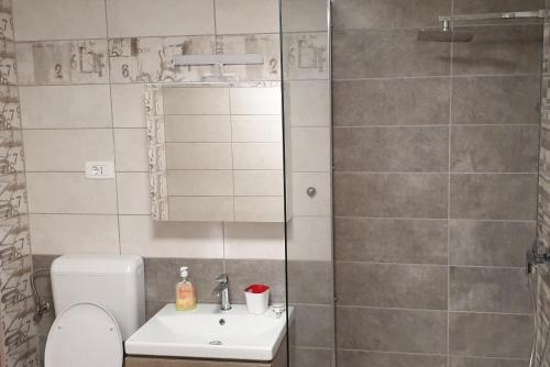 ein Bad mit einer Dusche, einem WC und einem Waschbecken in der Unterkunft APARTMAJI VITEZ in Bovec
