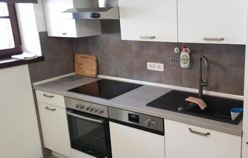 Il comprend une cuisine équipée d'un évier et d'une cuisinière. four supérieur dans l'établissement APARTMAJI VITEZ, à Bovec