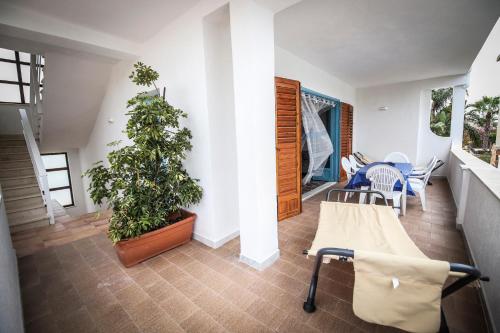 ein Wohnzimmer mit einem Tisch und einer Pflanze in der Unterkunft villa Silvana in San Leone