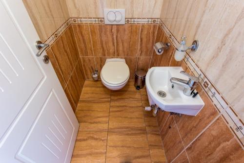 a small bathroom with a toilet and a sink at Luxury Apartment Hotel Siófok in Siófok