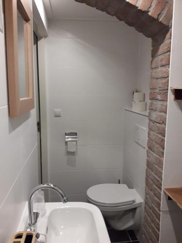 a bathroom with a white toilet and a sink at B&B CaSandra in Volendam