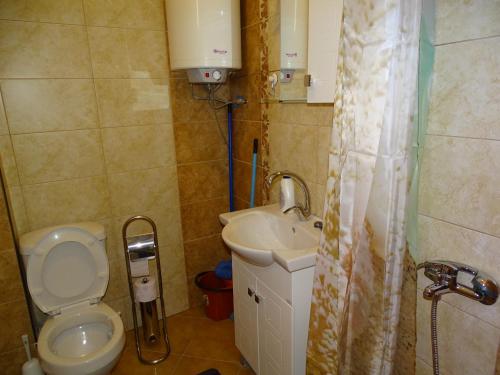 Baño pequeño con aseo y lavamanos en Charming apartment in the heart of the town, en Veliko Tŭrnovo