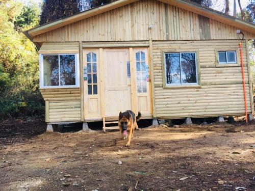 a dog standing in front of a house at Cabañas entre montañas in Rari