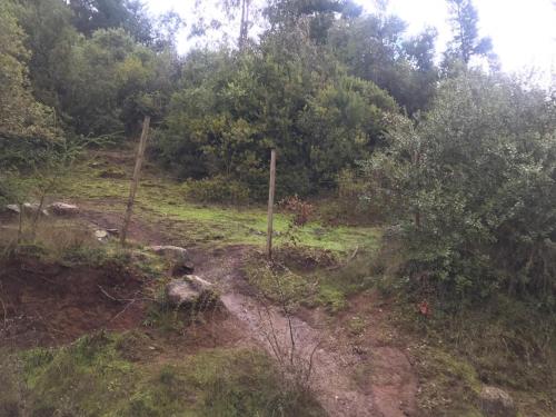 a dirt road in a field with trees at Cabañas entre montañas in Rari