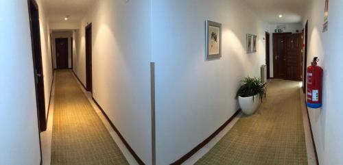 a hallway with white walls and a plant in a pot at Hospedaria S. Jorge in Fátima
