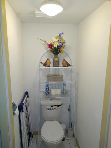 a bathroom with a toilet and a vase of flowers at Le Roi du Sundgau près de la Horse - Mooslargue in Mooslargue