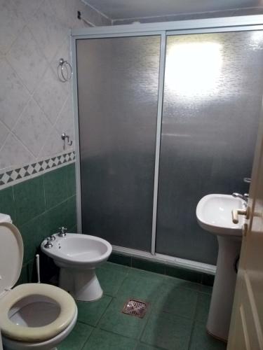 a bathroom with a shower and a toilet and a sink at Hostería Niemanu in Paso de la Patria