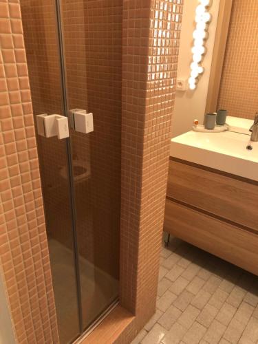 une salle de bain avec une douche en verre avec un lavabo dans l'établissement Studio 3* Vue Mer Parking Régina et Golf, à Biarritz