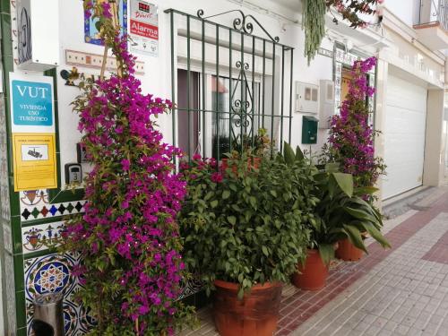 a row of potted plants in front of a building at H Juan in Marbella