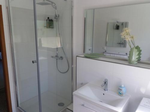 ein Bad mit einer Dusche und einem Waschbecken in der Unterkunft Ferienwohnung Lingenfelder in Bad Dürkheim