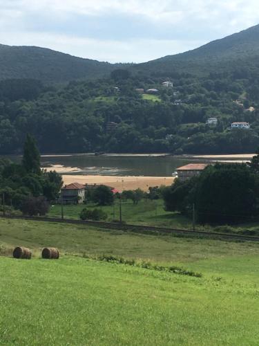 アパートメントの近くで見られる自然の景観