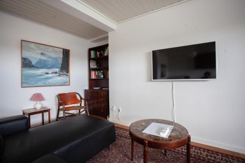 TV a/nebo společenská místnost v ubytování Tórshavn Apartment - In The Center